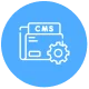 Highly Personalized CMS Development